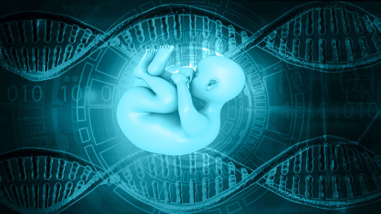 Μη επεμβατικός προγεννητικός έλεγχος - Μια ασφαλής εξέταση χωρίς κίνδυνο αποβολής 